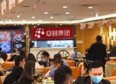 必普餐饮加盟靠谱吗？网友真实经验分享！