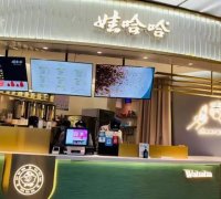 娃哈哈奶茶加盟全解析：费用、条件与成功秘籍一网打尽！