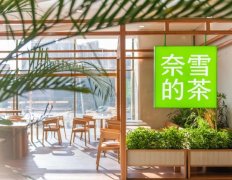 奈雪的茶加盟火爆揭秘：月入70万不是梦，但门槛有多高？